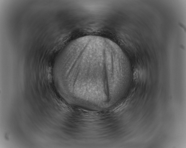 X0000097881156200804041607