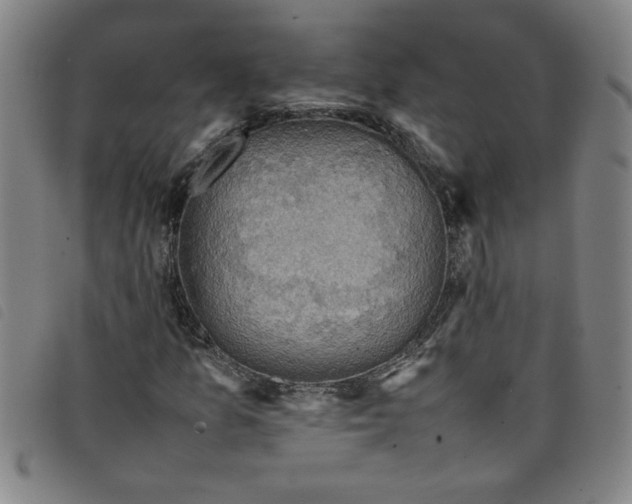 X0000097881157200804041607