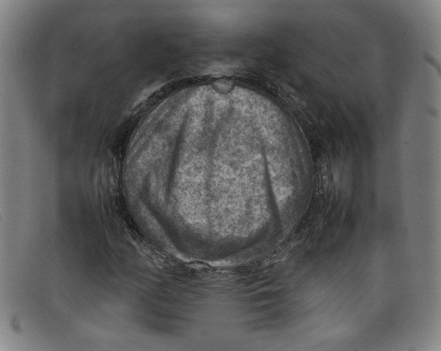 X0000097881158200804041607