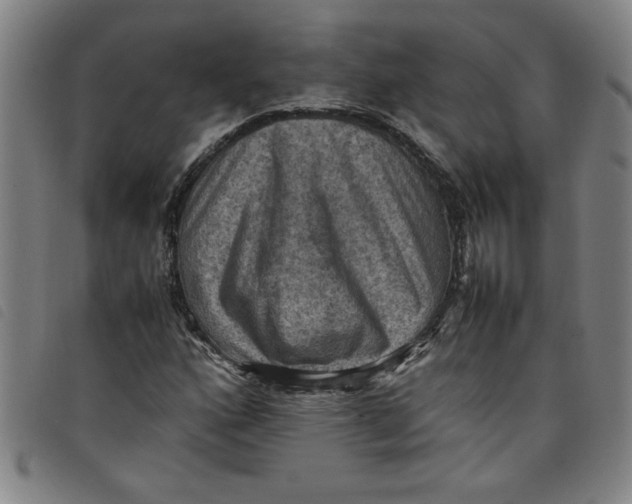 X0000097881160200804041607