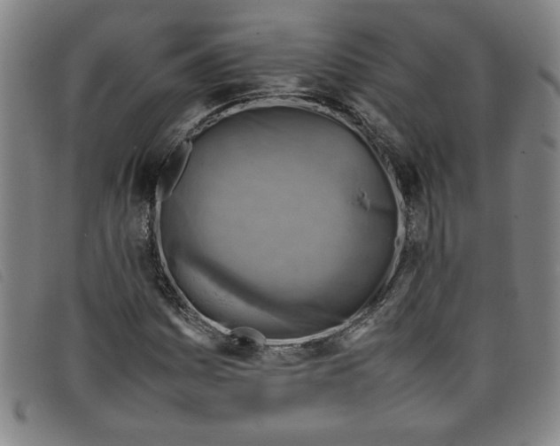 X0000097881161200804041607