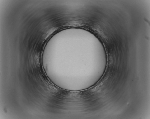 X0000097881162200804041607