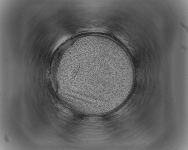 X0000097881163200804041607