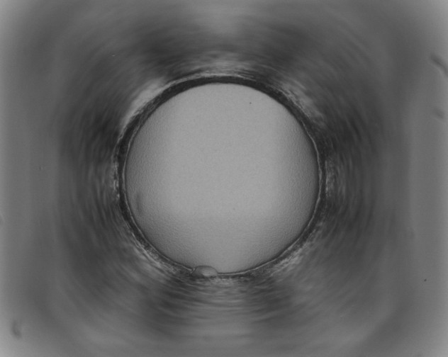 X0000097881164200804041607