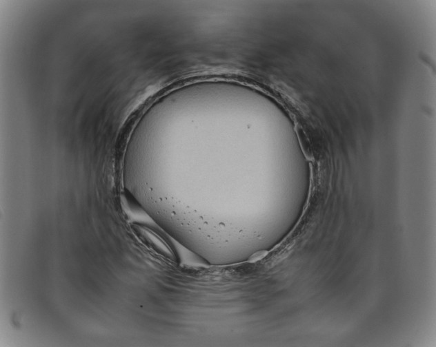 X0000097881165200804041607