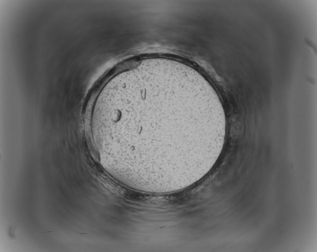 X0000097881167200804041607