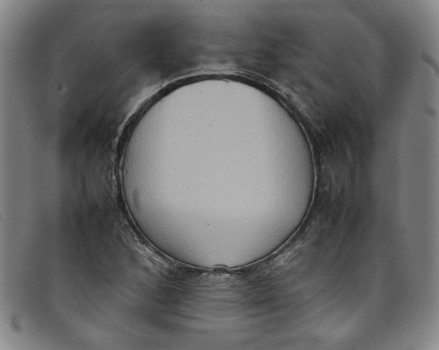 X0000097881168200804041607