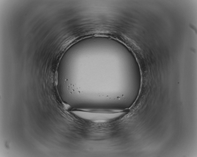 X0000097881169200804041607