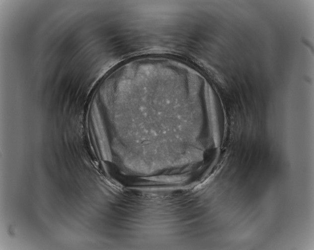 X0000097881170200804041607