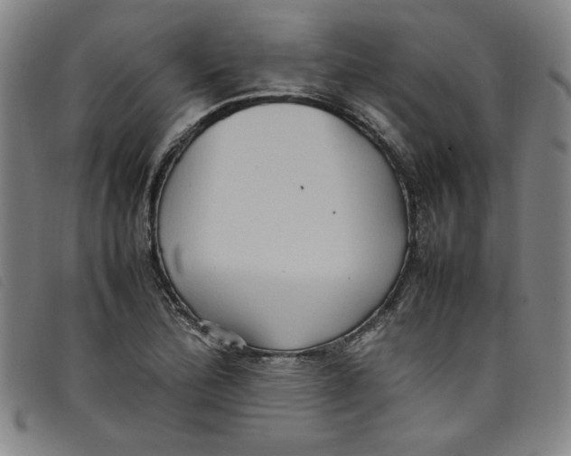 X0000097881172200804041607