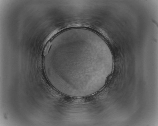 X0000097881173200804041607