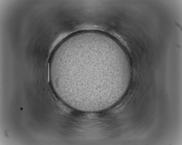 X0000097881175200804041607