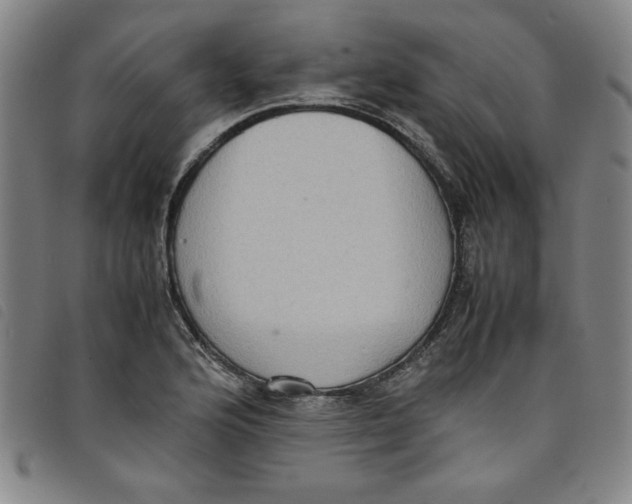 X0000097881176200804041607