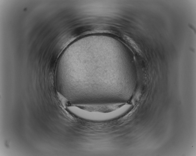 X0000097881177200804041607