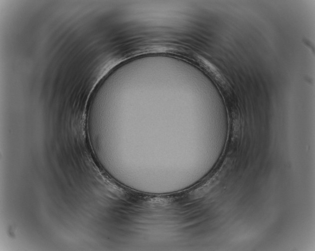 X0000097881178200804041607