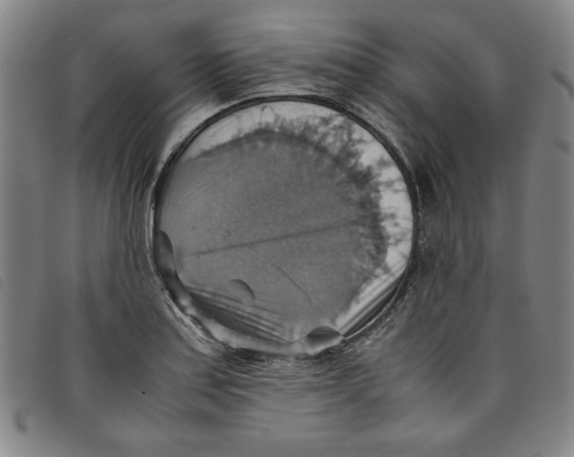 X0000097881179200804041607