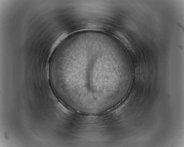 X0000097881180200804041607