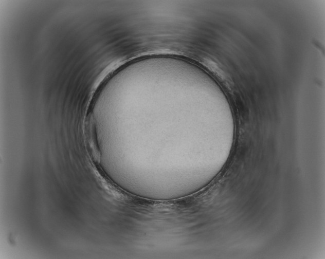 X0000097881181200804041607