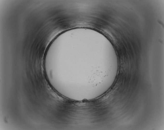 X0000097881182200804041607