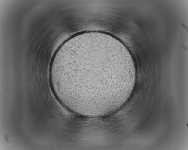 X0000097881183200804041607