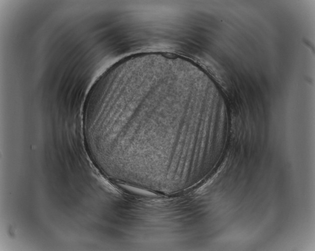 X0000097881184200804041607