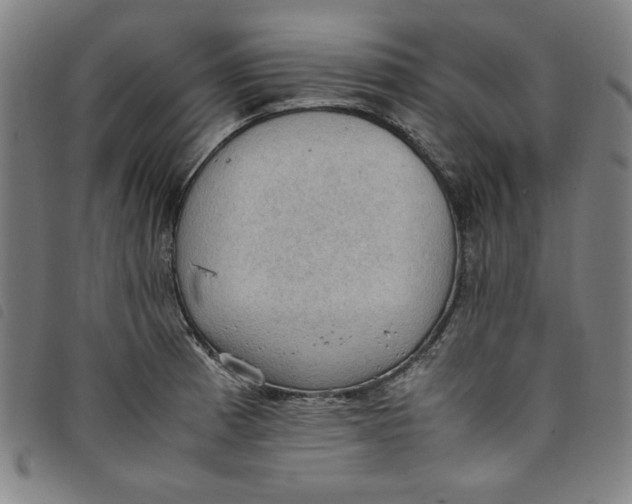 X0000097881185200804041607