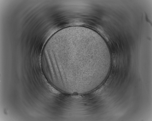 X0000097881186200804041607