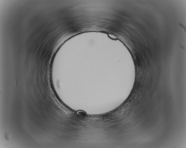 X0000097881187200804041607