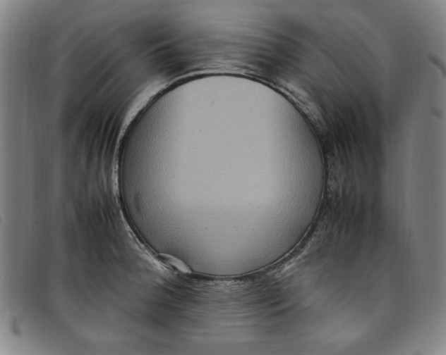 X0000097881188200804041607