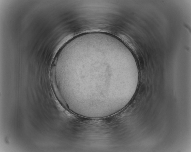 X0000097881189200804041607