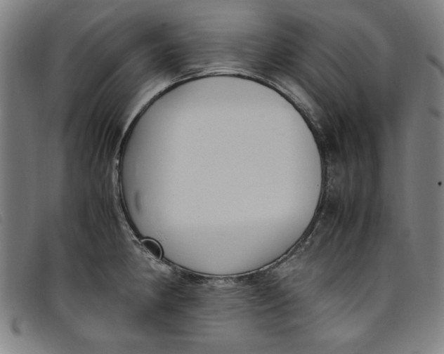 X0000097881190200804041607