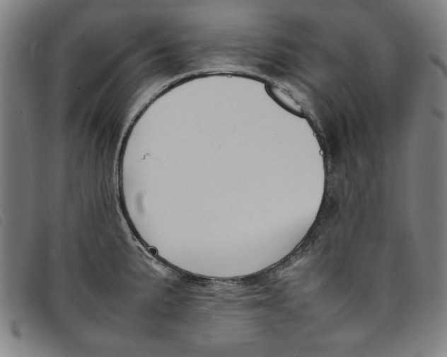 X0000097881191200804041607