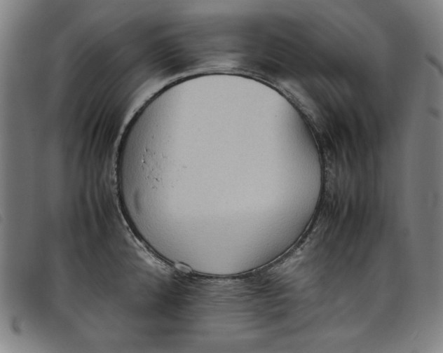 X0000097881192200804041607