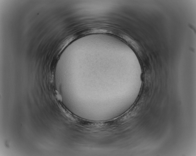 X0000097881193200804041607