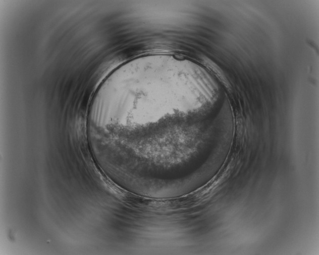 X0000097881194200804041607