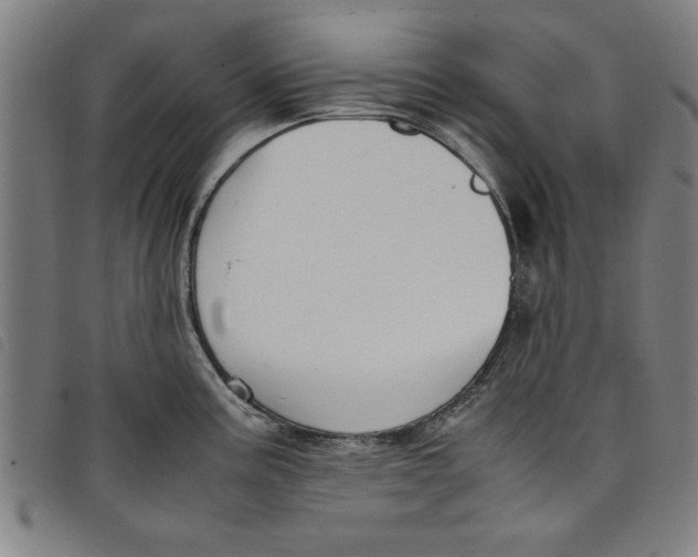 X0000097881195200804041607