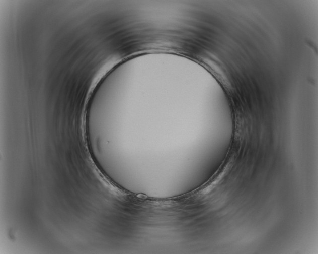 X0000097881196200804041607