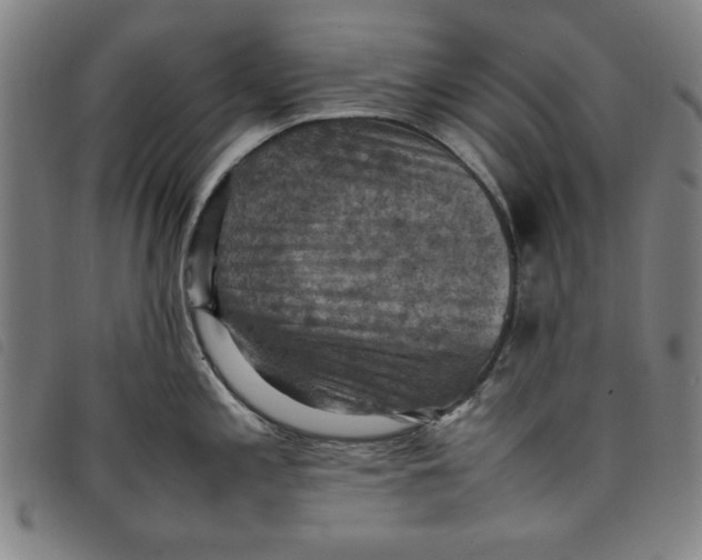 X0000097881197200804041607