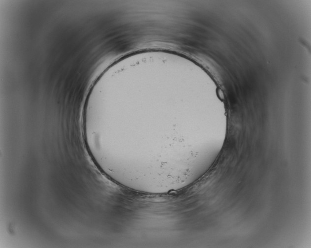 X0000097881199200804041607