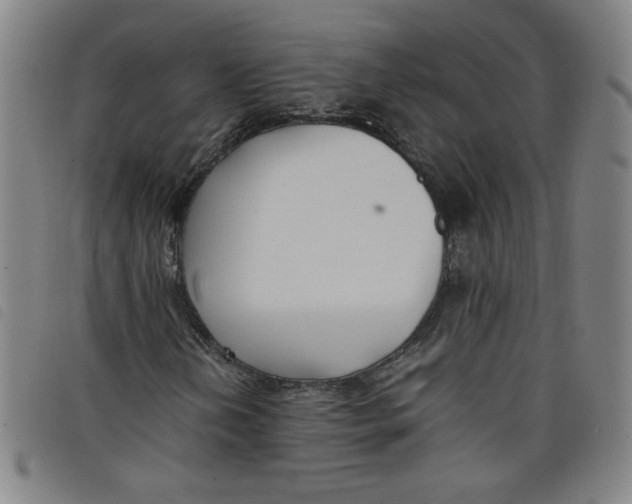 X0000097881202200804041606