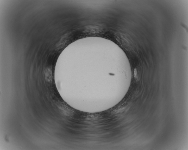 X0000097881203200804041606