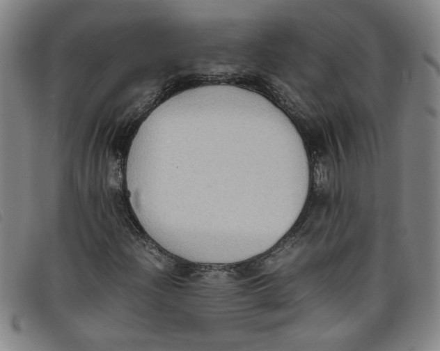 X0000097881204200804041606