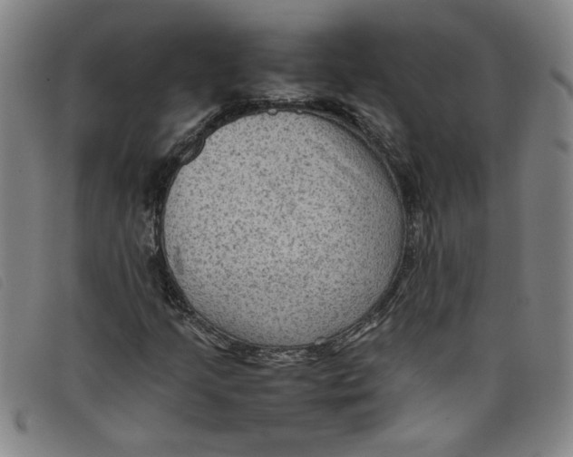 X0000097881205200804041606