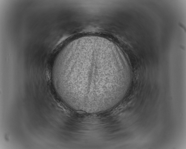 X0000097881206200804041606