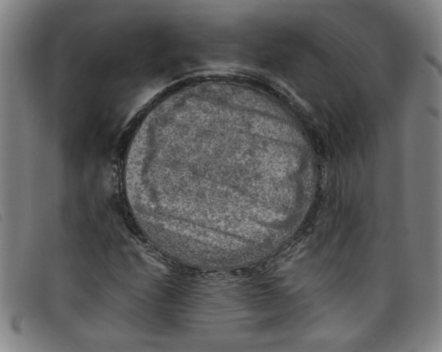 X0000097881208200804041606