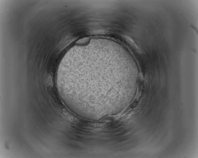 X0000097881209200804041606