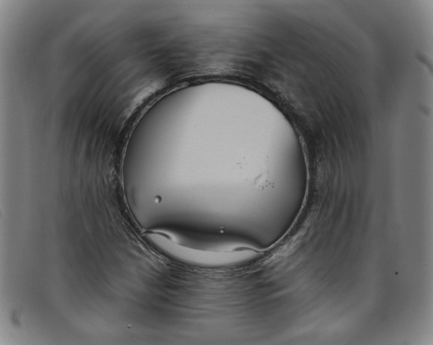 X0000097881210200804041606