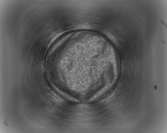 X0000097881212200804041606