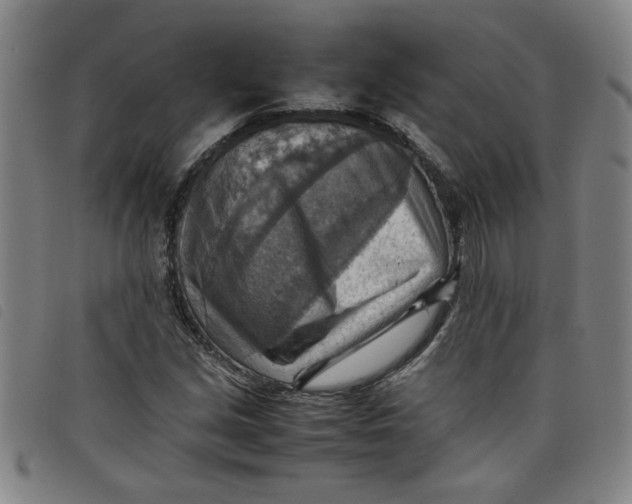 X0000097881213200804041606