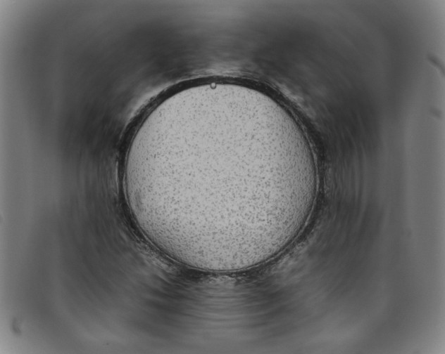 X0000097881214200804041606